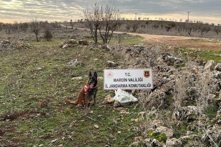 Dargeçit’te 25 kg tuzaklanmış patlayıcı ele geçirildi