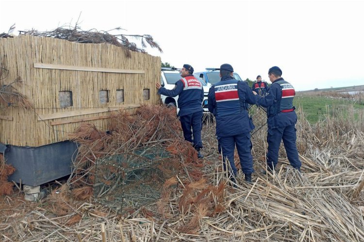 Edirne Jandarması’ndan yasak avcılık operasyonu!