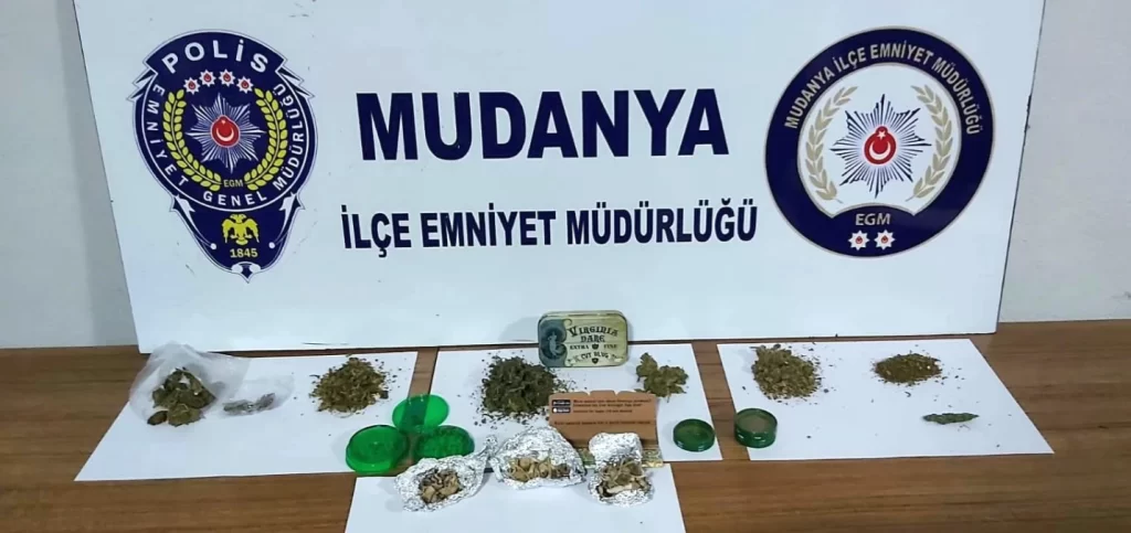 Mudanya’da ‘Sihirli Mantar’ Operasyonu: 1 Kişi Gözaltına Alındı