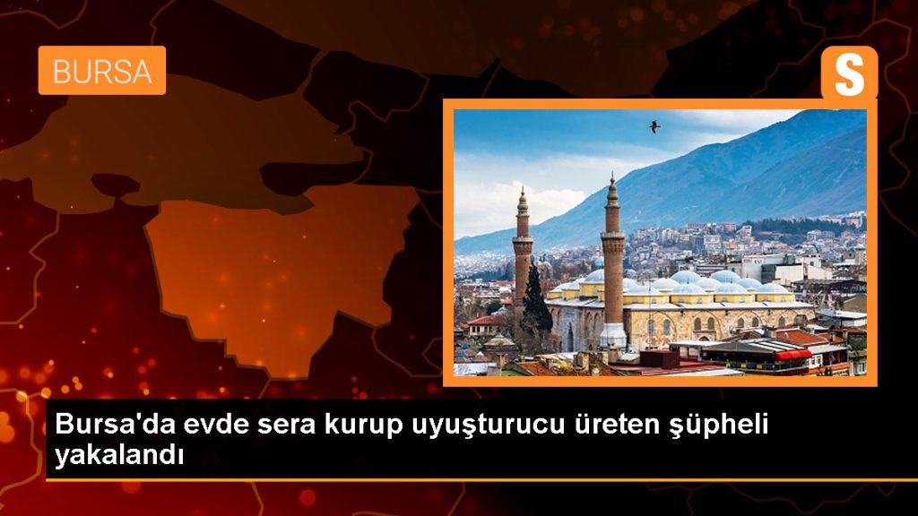 Bursa’da Ev Sera Haline Getirilerek Uyuşturucu Üretimi Yapan Şüpheli Gözaltına Alındı