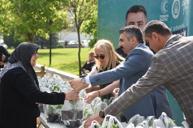 Yıldırım’dan 50 bin fide