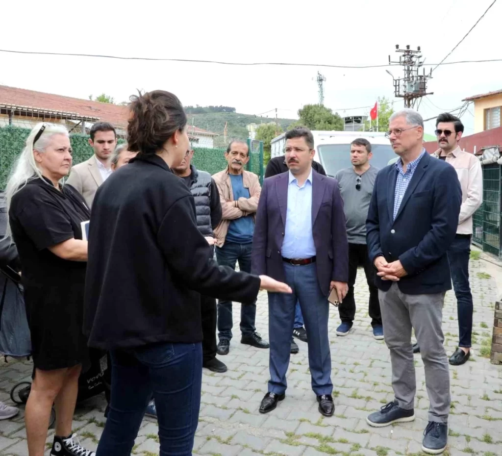 Mudanya Belediye Başkanı Sokak Hayvanları İçin Rehabilitasyon Merkezi Kuracak