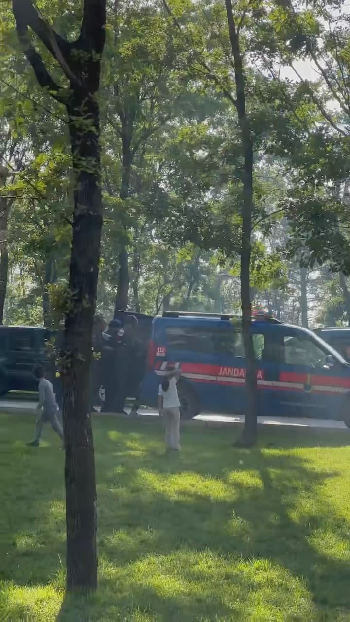 Piknik alanında satırlı kavgası
