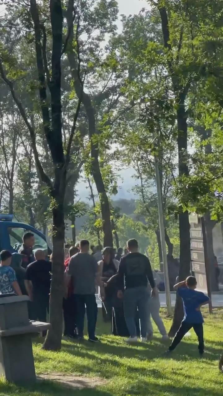 Piknik alanında satırlı kavgası