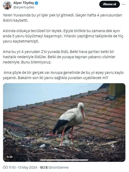 Yaren Leylek'ten üzücü haber: 'Bu yıl işler iyi gitmedi'