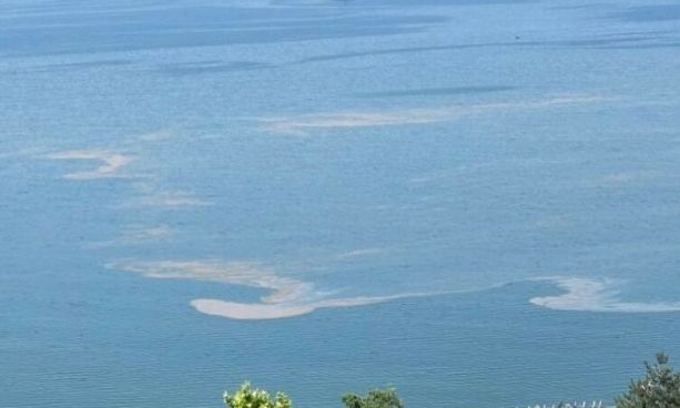 Görüntü Gemlik Körfezi’nden… Kâbus geri mi dönüyor?