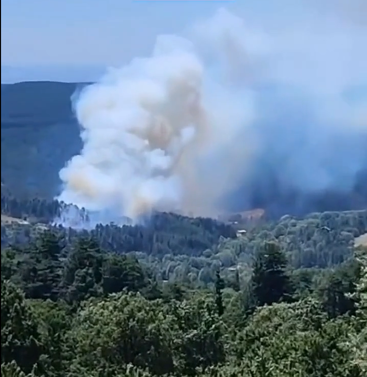 Bursa Keles’te orman yangını çıktı