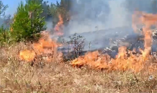 Anız yangını kontrol altına alındı