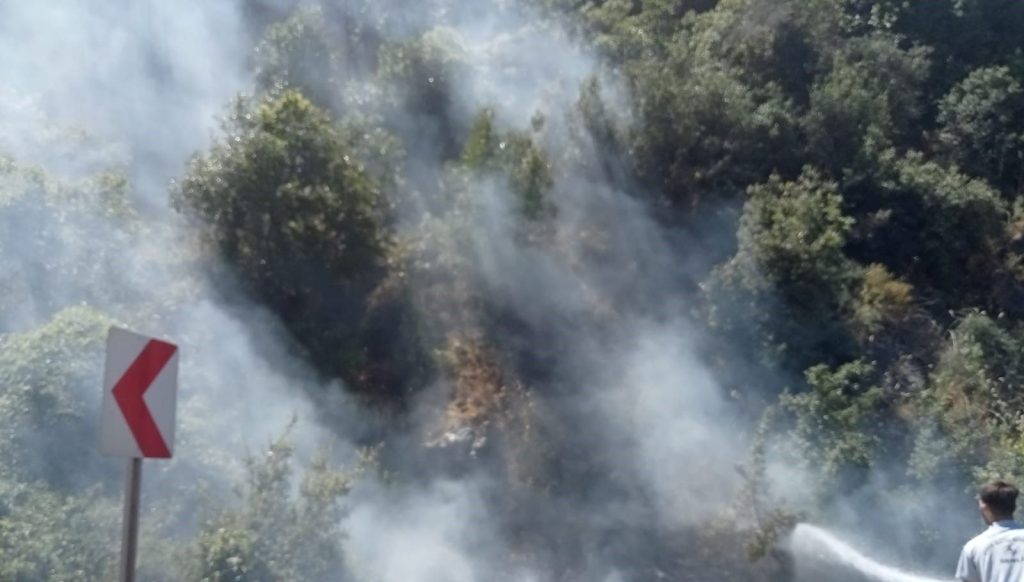 Çalılıkları ateşe verdi, faciadan dönüldü