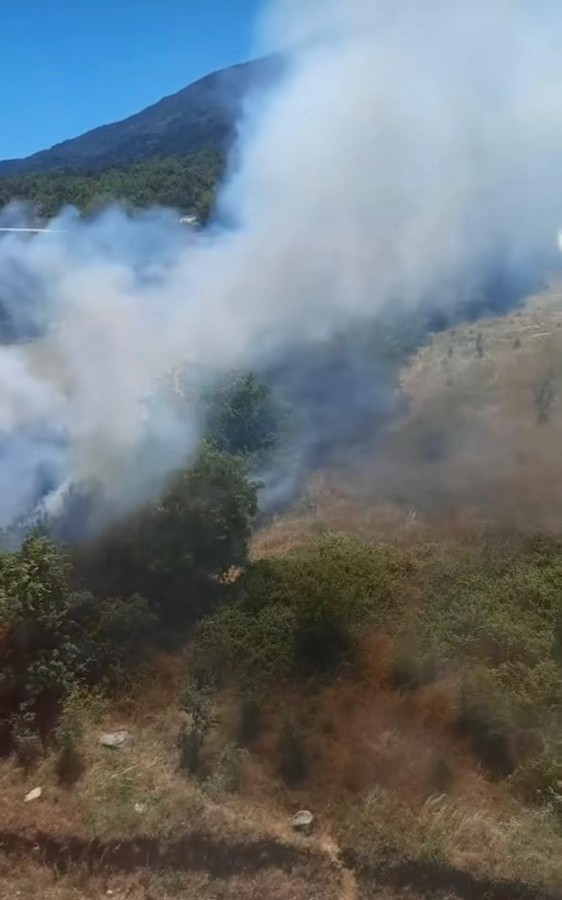 Bursa’da otluk alanda yangın