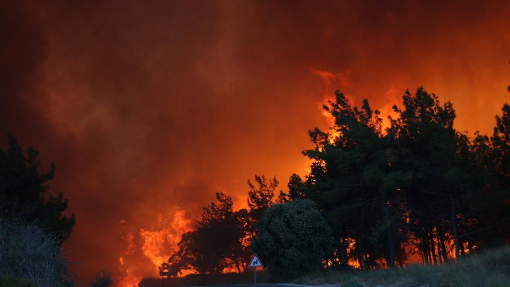 Türkiye’nin yangın risk haritası belli oldu