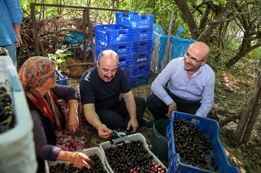 Vali Demirtaş, Keles kiraz bahçesinde çiftçilerle buluştu