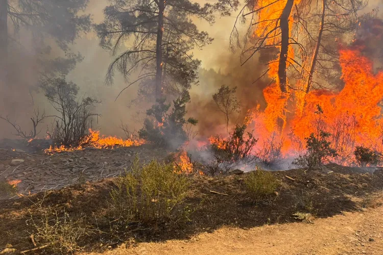 Orhaneli’deki orman yangını kontrol altında