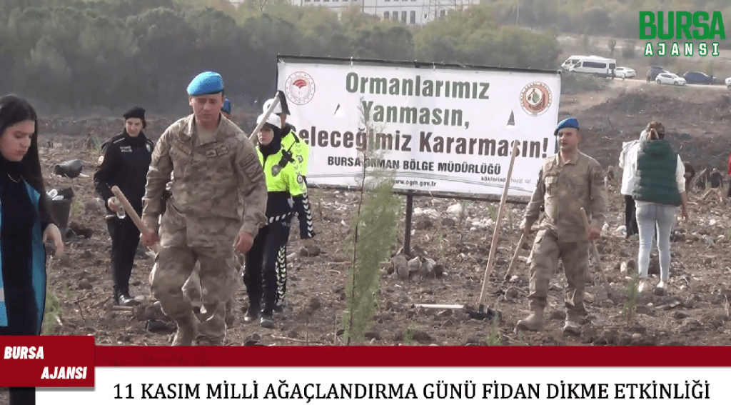 11 Kasım Milli Ağaçlandırma Günü fidan dikme etkinliği