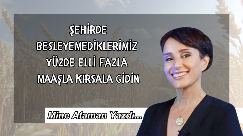 Şehirde besleyemediklerimiz yüzde elli fazla maaşla kırsala gidin
