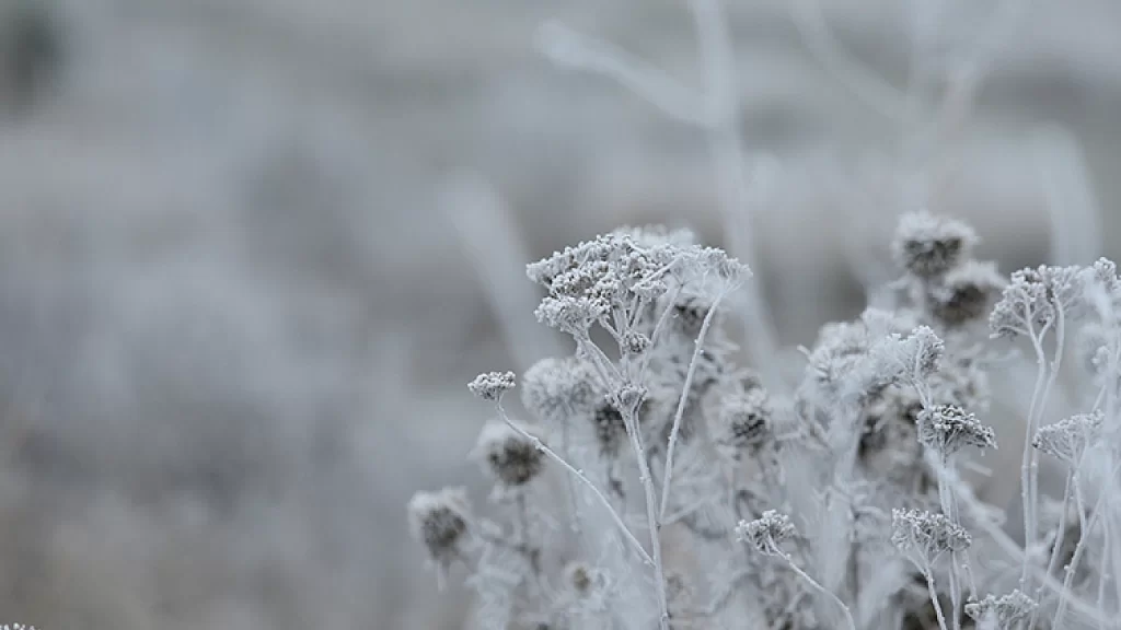 Bursalılar dikkat! Meteoroloji’den uyarı