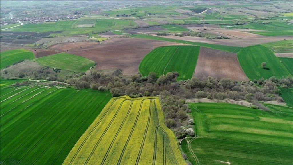 5 milyon kişiye tapu verilecek: 2B arazileri düzenlemesinde 3 ay detayı