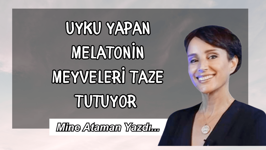 Uyku yapan Melatonin Meyveleri Taze Tutuyor