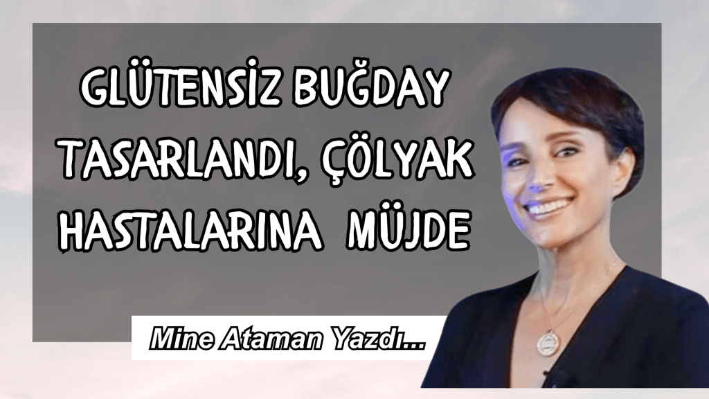Glütensiz Buğday Tasarlandı, Çölyak Hastalarına Müjde