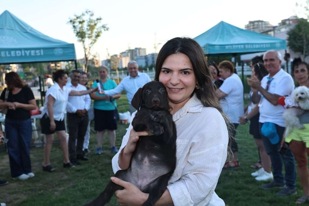 Nilüfer’de Can Dostlar Yeni Yuvalarına Kavuştu