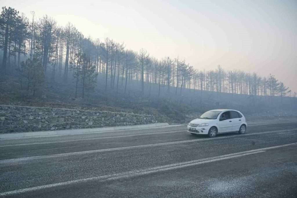 Bursa’da Orman Yangını 3 Gündür Sürüyor