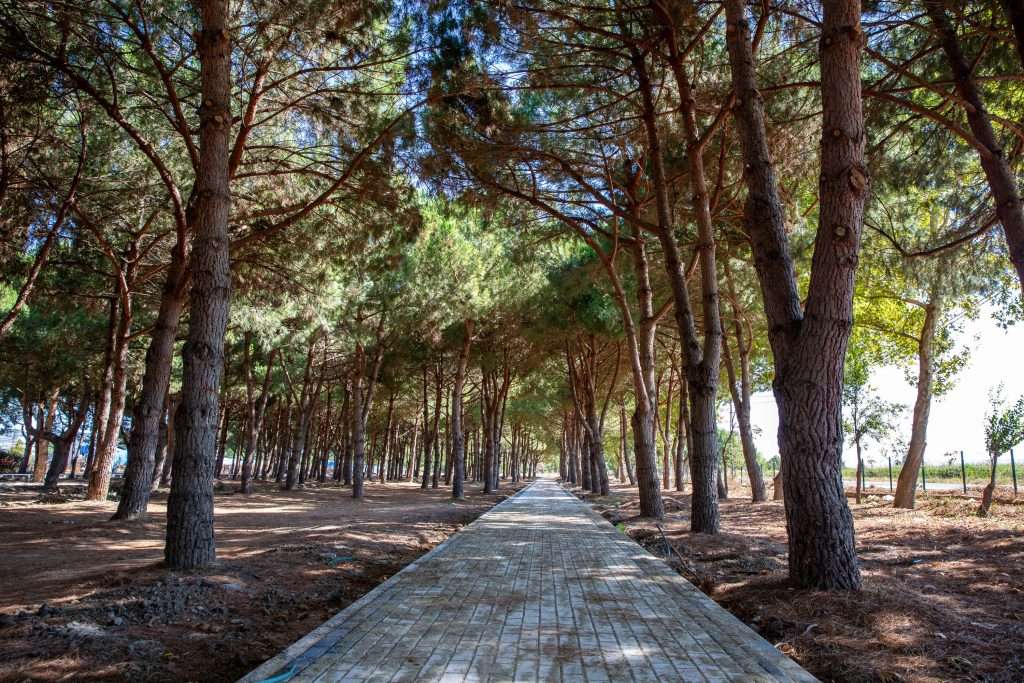 Bursa’ya Devasa Park ve Mesire Alanı