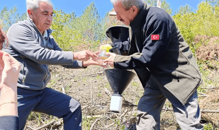 Bursa’da Kabuk Böceklerine Karşı Biyolojik Mücadele Başladı