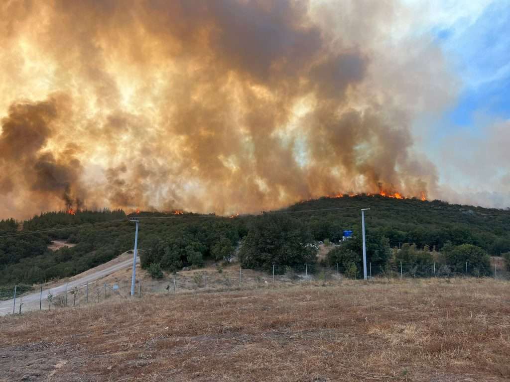 Yenişehir’de Orman Yangını
