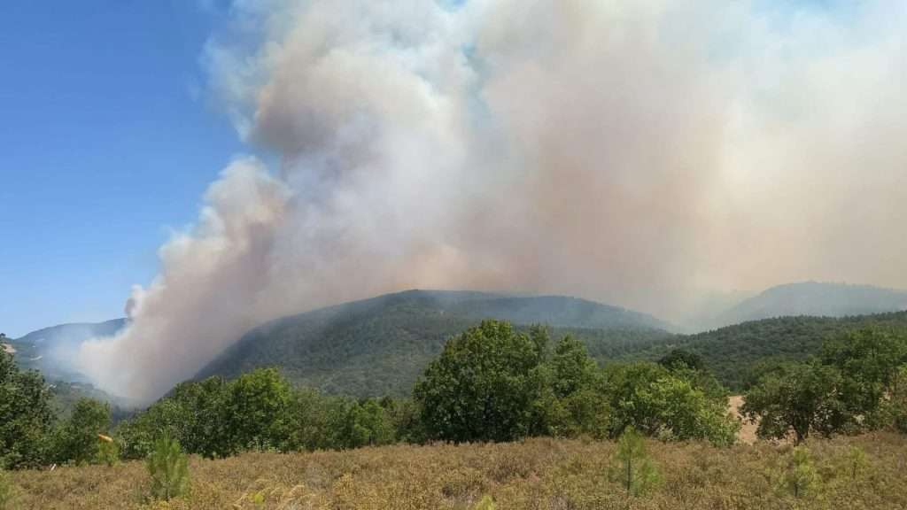İznik’te Orman Yangını