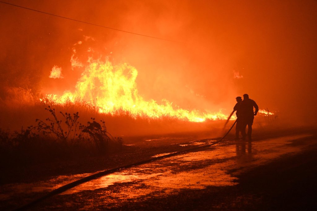 Karacabey’de Orman Yangını