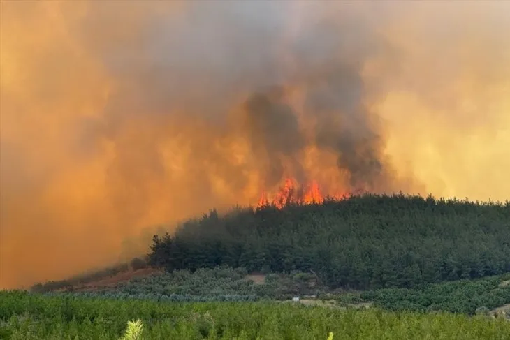 Osmangazi’de Orman Yangını: Müdahale Sürüyor