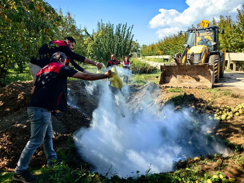 Kestel’de 40 Ton Armut İmha Edildi