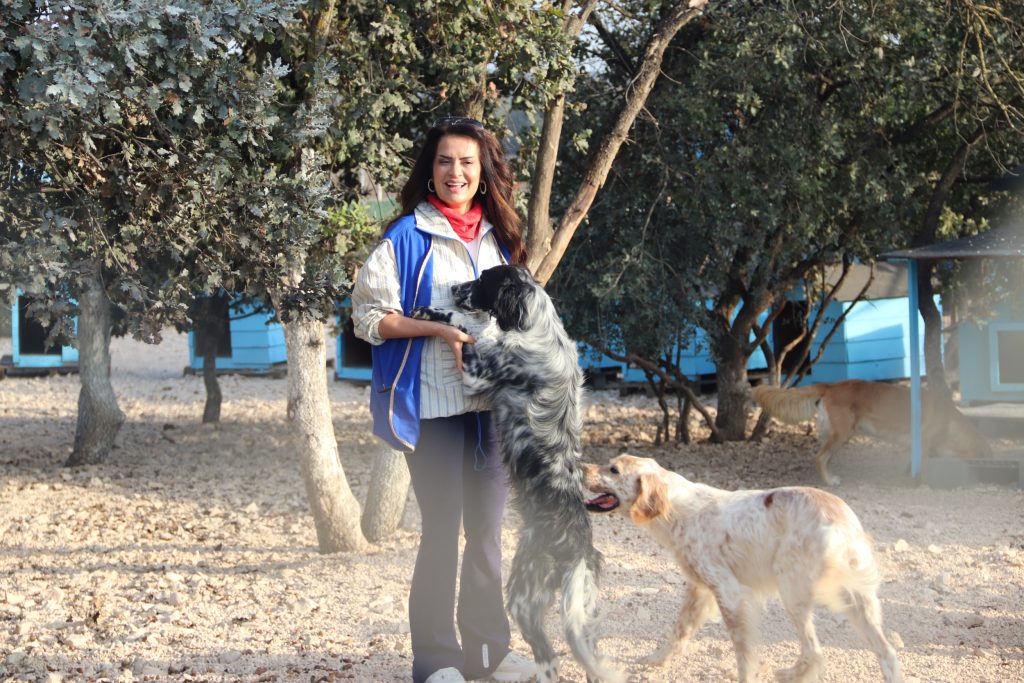 Yarına Şans Ver Derneği’nden (YASAV) Sokak Hayvanlarına Destek Eli