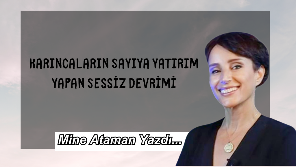 Karıncaların Sayıya Yatırım Yapan Sessiz Devrimi