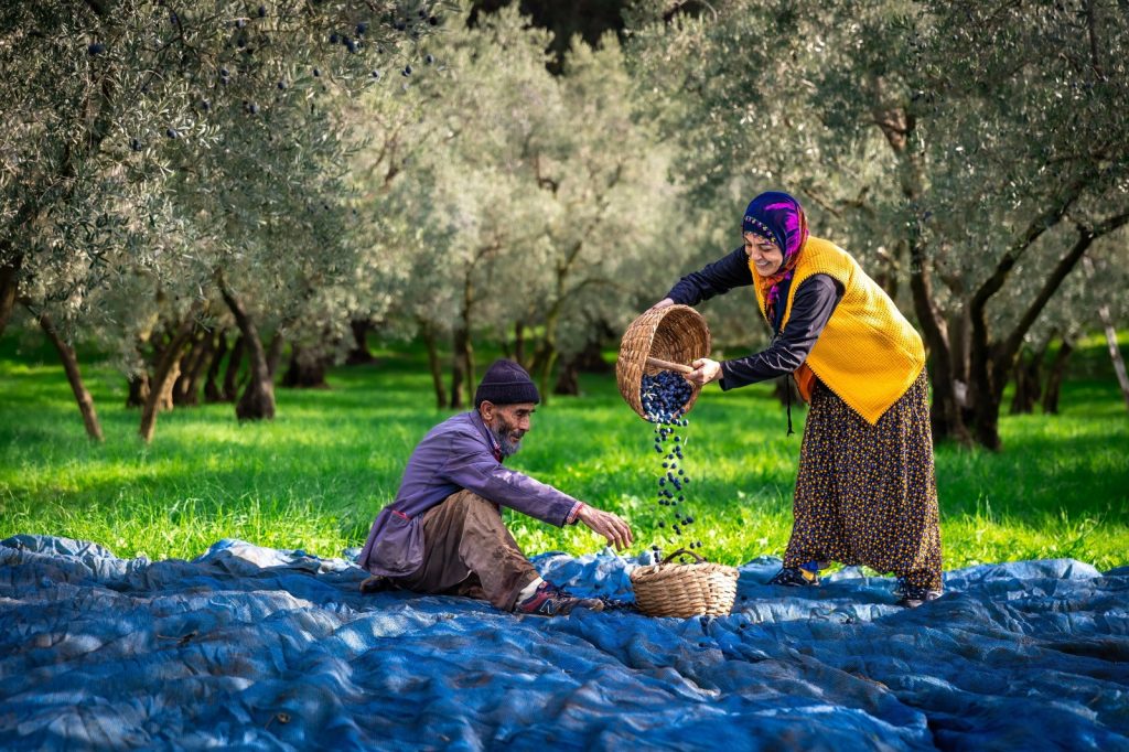 Gemlik Fotoğraf Maratonu’nda Kazanan Kareler Belli Oldu