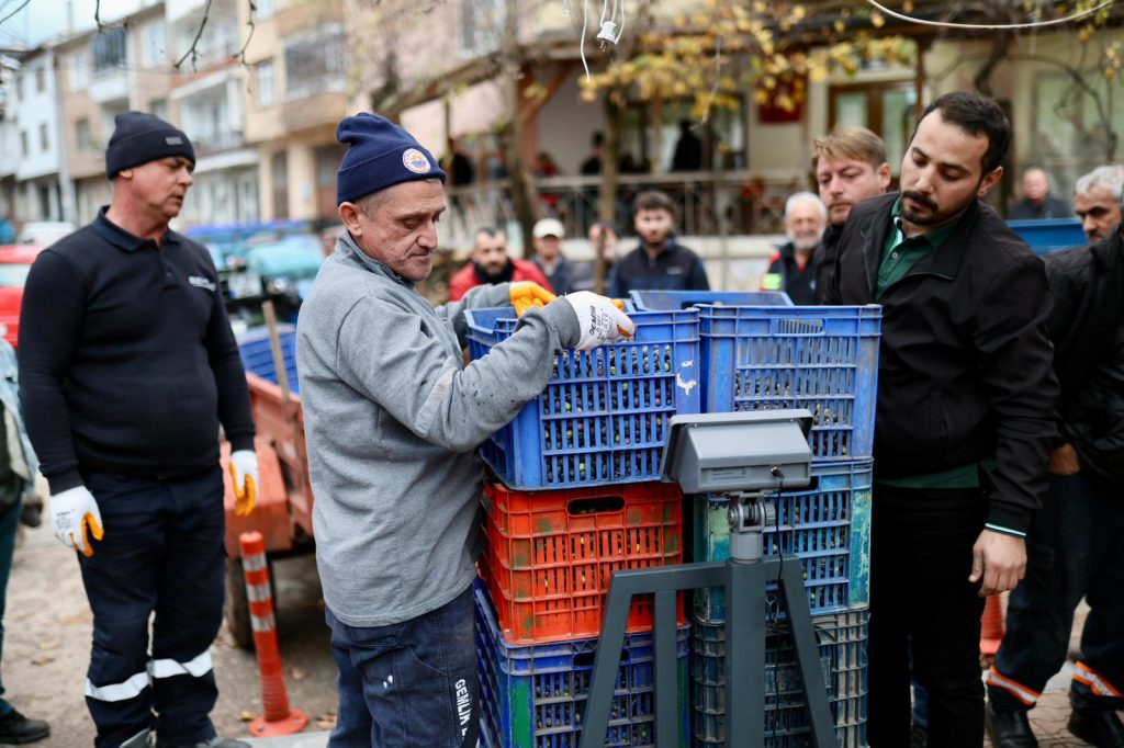 Gemlik Belediyesi’nden Üreticiye Destek