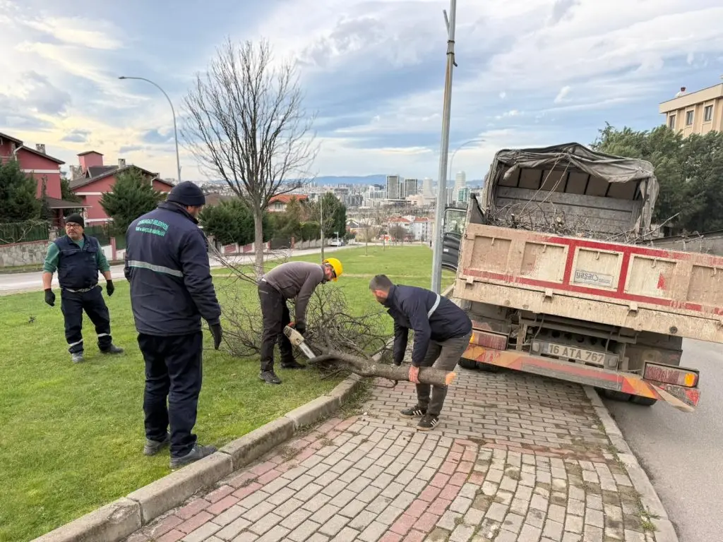 Osmangazi’de Lodos Mesaisi