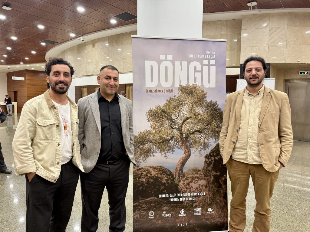 Altın Koza Ödüllü "Döngü" Belgeseli İzmir’de Devleşti: Zeytinliklerin Yaşam Mücadelesi Sinemada!
