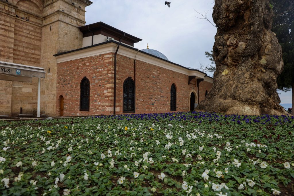 Bursa’nın Simgeleri Çiçek Açtı