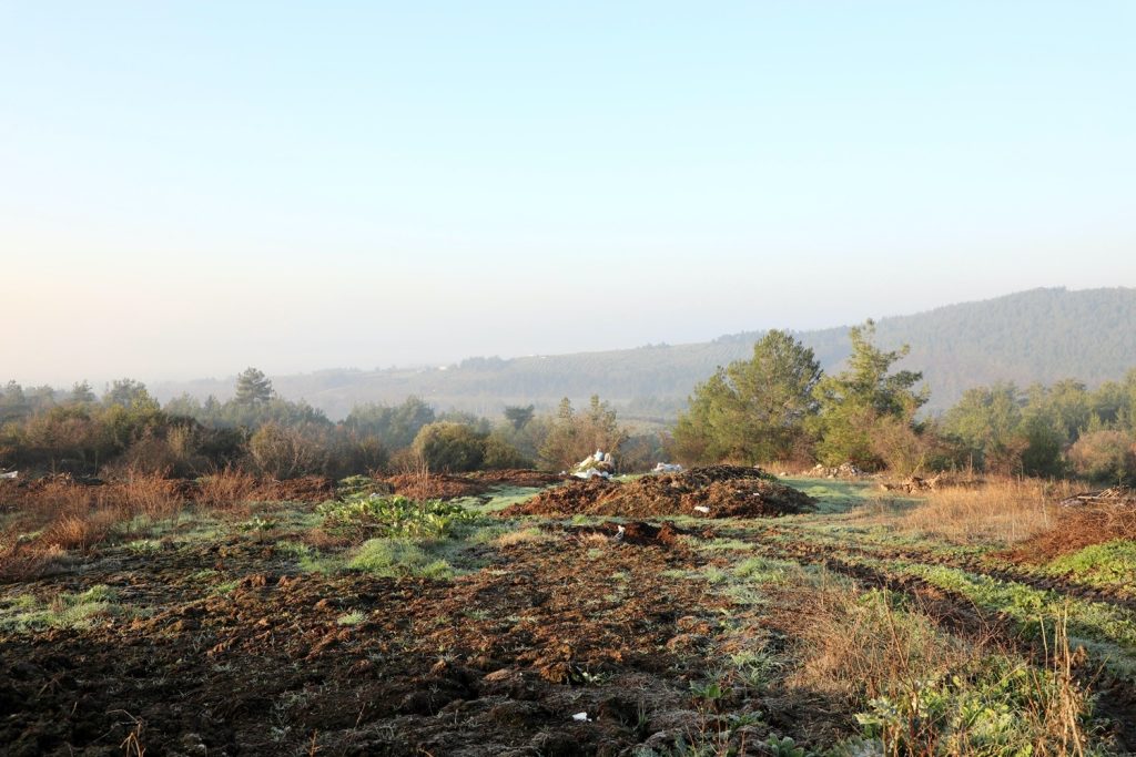 Mudanya’da Yeşil Enerji Devrimi