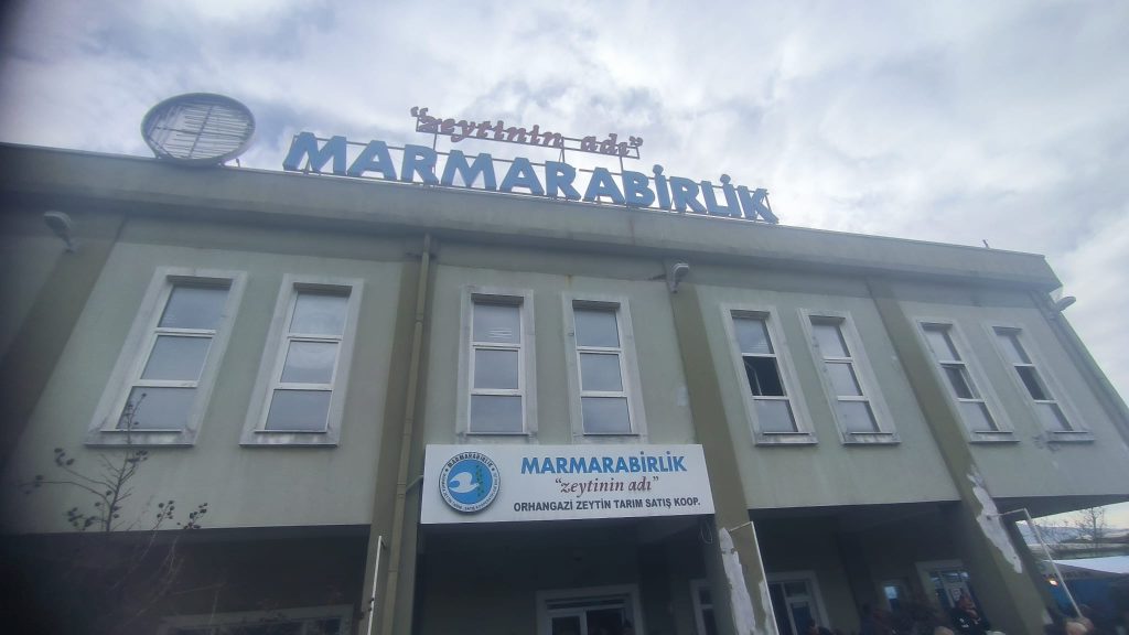 Orhangazi’de Zeytinci Meydan Okudu: Yönetim Sınıfta Kaldı Çiftçi Yollara Taştı