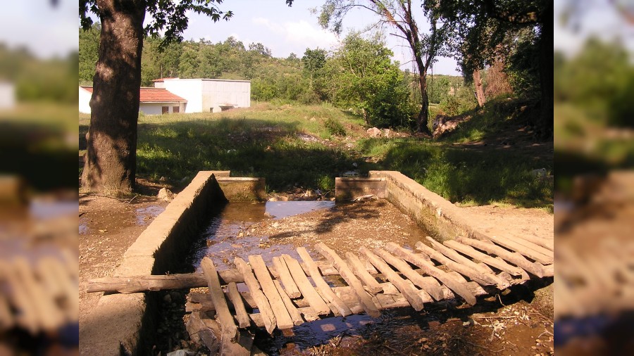 Nadır’da Sadece Tesis Mi Yenileniyor Tarih  Mi Yok Ediliyor?