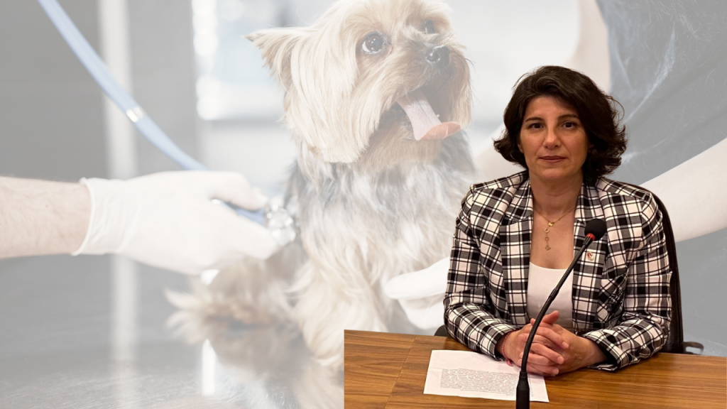 Bursa’da Veteriner Hekimlerden Tarihi Karar: “Maliyet Artışına Rağmen Zam Yok!