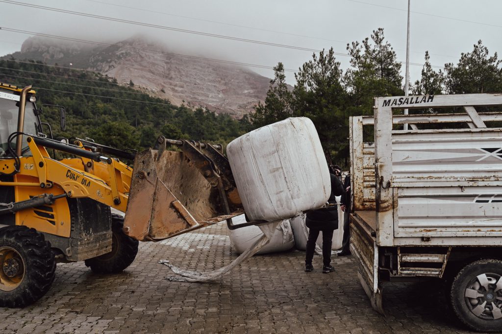 Çiftçiye Müjde: 17 İlçede Ücretsiz Kaba Yem Dağıtıldı