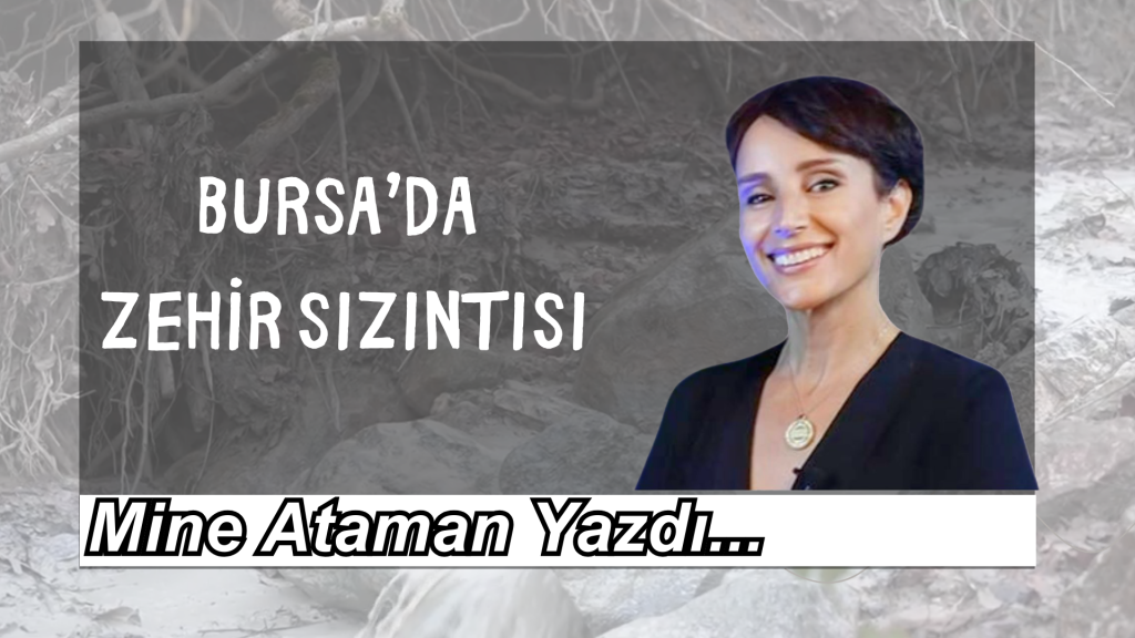 Bursa’da Zehir Sızıntısı