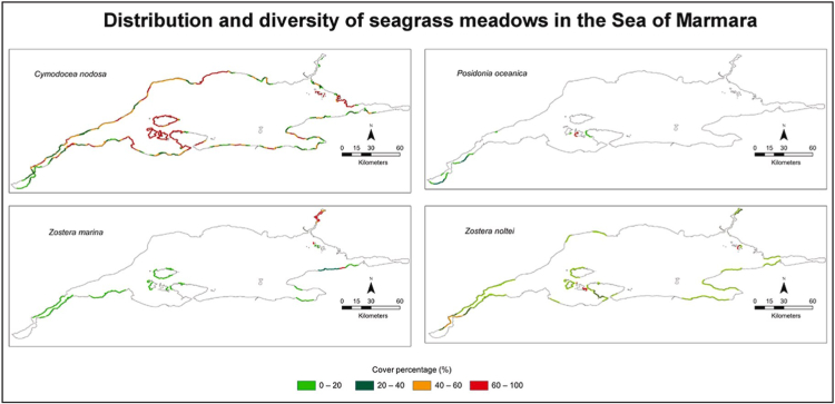 Prof. Dr. Mustafa Sarı'dan 'deniz çayırları' için acil önlem çağrısı!