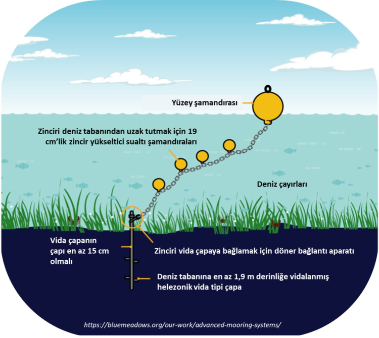 Prof. Dr. Mustafa Sarı'dan 'deniz çayırları' için acil önlem çağrısı!
