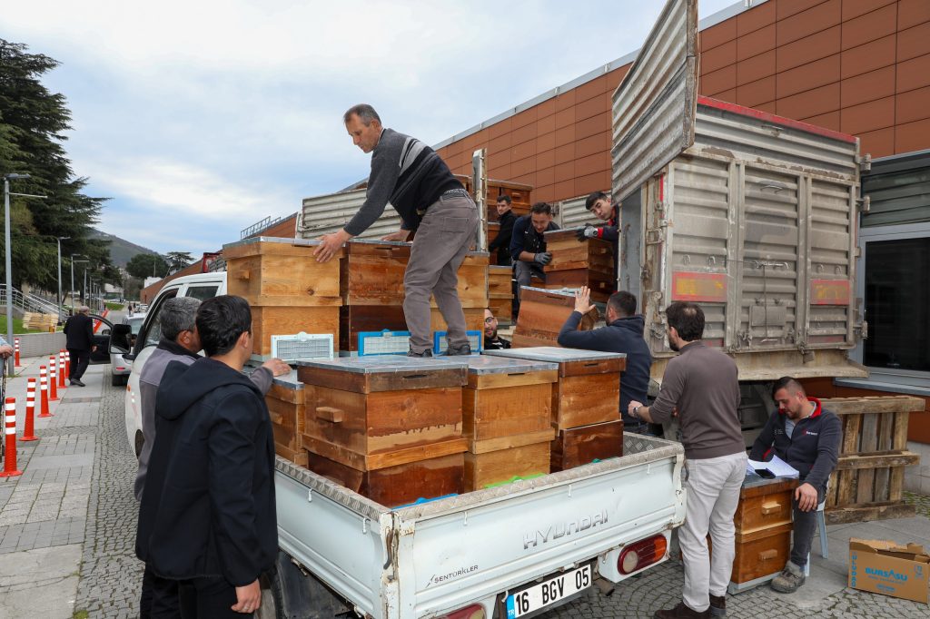 Bursa’da Arıcılığa Can Suyu: Hem Eğitim Hem de 750 Kovan Desteği