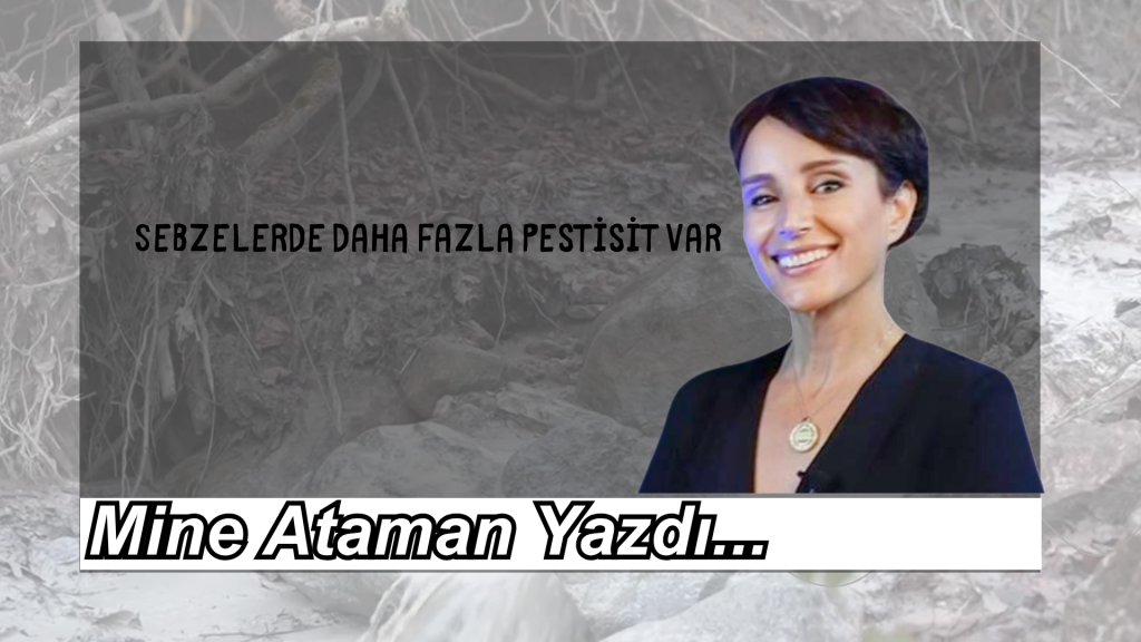 Sebzelerde Daha Fazla Pestisit Var