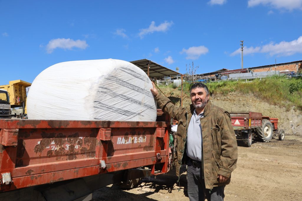 Büyükşehir’den Dağ İlçelerine Büyük Destek… Büyükbaş Yetiştiricilerine %100 Hibeli Mısır Silajı Dağıtıldı